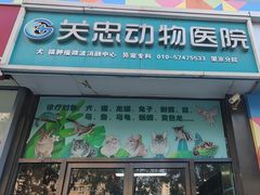 -瑞派·关忠动物医院·异宠专科·犬猫肿瘤·皮肤专科(望京店)