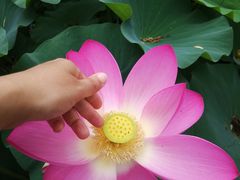 -南戴河国际娱乐中心