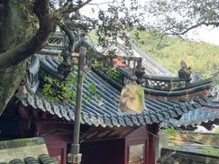 -普陀山风景区-佛顶山