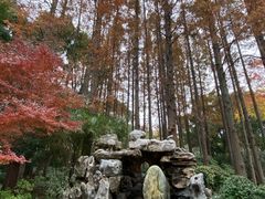-上海醉白池公园