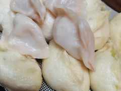 -马大刚白记包子