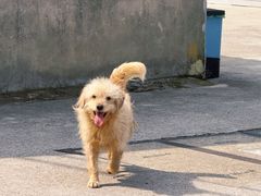 -会稽山峡洞漂流-上青古道