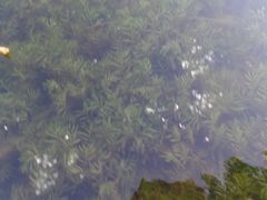 -燕郊植物园