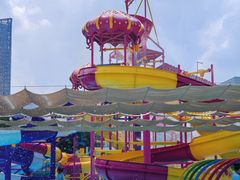 -海合安成都极地海洋公园
