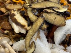 -草墩罗非鱼庄•野生菌•腊排骨(七星街上段店)