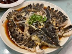 -京北渔家傲
