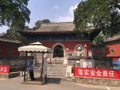 -大觉寺-停车场