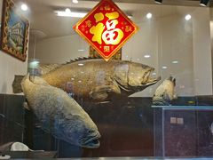 -齐海鱼圣深海石斑鱼火锅店(极地海洋世界店)