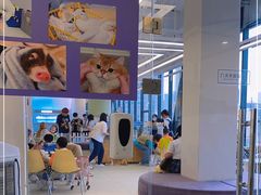 -怪兽屋·羊驼·猫咖·狗咖(俊华广场店)