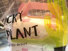 -iFood甜嫩嫩(江东北路店)