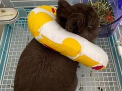 -美迦爱-牙专科·兔科·骨科诊疗中心(北苑店)