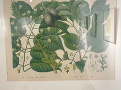 -湖北省美术院美术馆