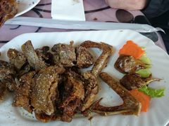 -天羽烤乳鸽店(财大家属院店)