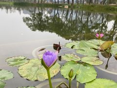 -上海植物园-4号门售票处