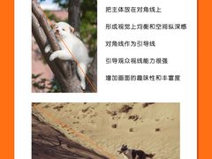 -CGWANG王氏教育(上海校区)