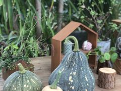 -北马山庄植趣咖啡
