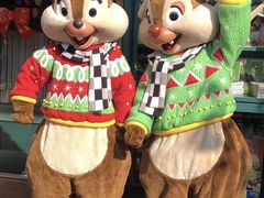 -嘉定凯悦·咖啡厅