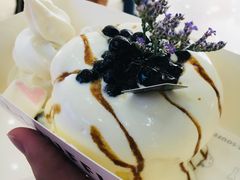 -狐狸和向日葵(北京路店)