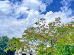 -曼听御花园