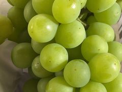 -马陆小张葡萄园农家乐