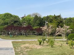 -莲花池公园