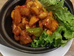 猴头菇问山药-素行天下(国投财富广场店)