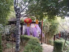 -观唐（国际）度假村温泉