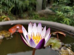 -优游吧斯邹族文化部落