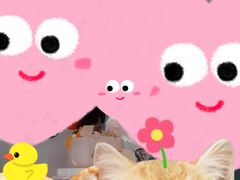 -壹点壹客·生日蛋糕(南山店)