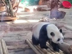 -南宁市动物园