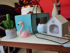 -河南威佳金凯汽车销售服务有限公司