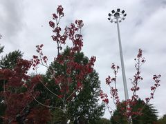 -宗角禄康公园