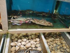 -泰白海鲜烧烤大全