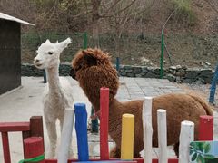 -西部长青自然儿童乐园