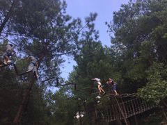 -梦幻奥陶纪景区