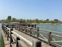 -野鸭湖国家湿地公园