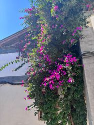 -小红帽摄影(丽江店)