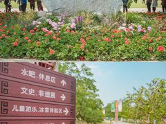 -御林古桑园