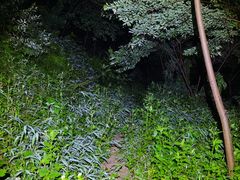 -火炉山森林公园