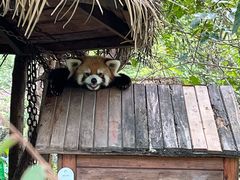 -常州淹城野生动物世界