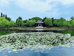 -无锡蠡湖国家湿地公园-蠡园