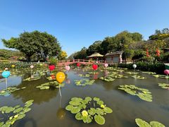 -广州莲花山旅游区