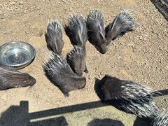 -水上乐园·欢乐世界