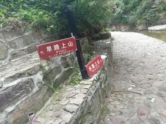 -爱情山风景区