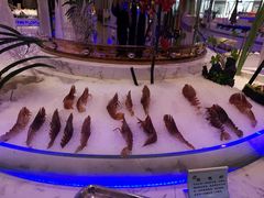 -澜悦港海鲜体验主题餐厅