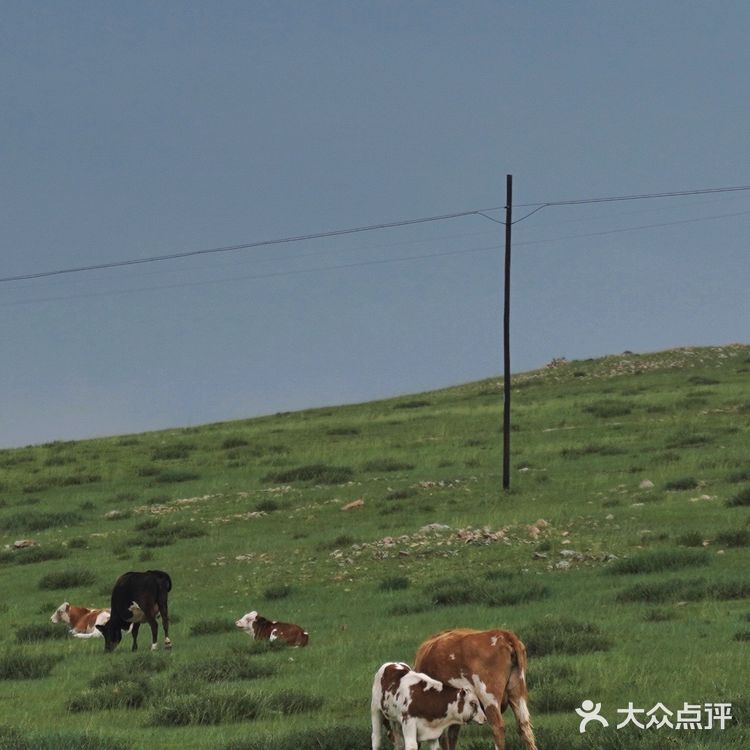 乌兰察布旅行｜来草原一定要住一次蒙古包⛺️ 