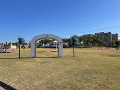 -春花秋色城市公园