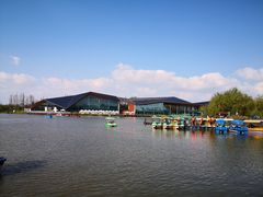 -上海长兴岛郊野公园