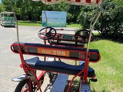 -上海海湾国家森林公园