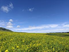 -扁都口生态休闲旅游区